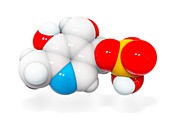 Pyridoxal phosphate molecule