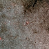 Large Sagittarius Star Cloud