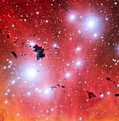 IC 2944 nebula,VLT image