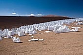 Ice penitentes,Chile
