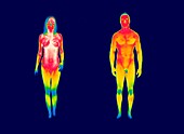 Nude woman and man,thermogram