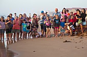 Sea turtles conservation,USA