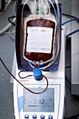 Blood donation clinic