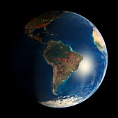 Earth's deforestation,2000-2012