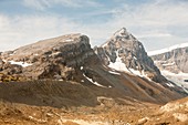 Glaciers receding Columbia Icefield