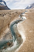 Meltwater on the Athabasca glacier