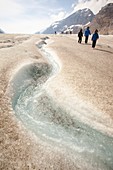 Meltwater channels on Athabasca glacier