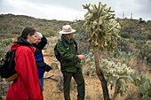 Saguaro National Park tourism