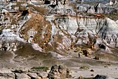 Painted Desert,Arizona