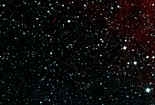 Holda asteroid,space telescope image