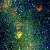 Trifid nebula,WISE image