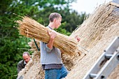 Barn being rethatched in Dorset