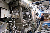 ISS astronaut in a laboratory