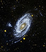 M81 galaxy,space telescope image