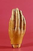 Wooden prosthetic hand,circa 1920