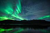 Aurora borealis,Norway