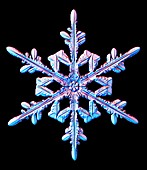 Snowflake,light micrograph