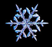 Snowflake,light micrograph