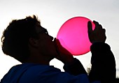 Inhaling nitrous oxide from a balloon