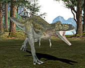 Alioramus dinosaur,illustration