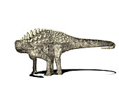 Ampelosaurus dinosaur,illustration