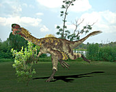 Citipati dinosaur,illustration