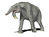 Deinotherium prehistoric mammal