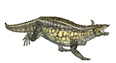 Desmatosuchus dinosaur,illustration