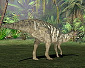 Edmontosaurus dinosaur,illustration