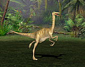 Gallimimus dinosaur,illustration