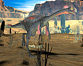 Gigantoraptor dinosaur,illustration