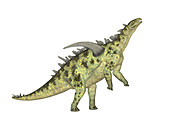 Gigantspinosaurus dinosaur,illustration