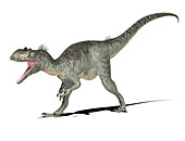 Megalosaurus dinosaur,illustration