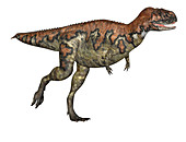 Skorpiovenator dinosaur,illustration