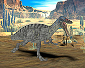 Suchomimus dinosaur,illustration