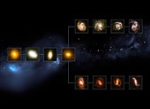Galaxy types 11 billion years ago