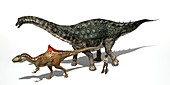 Dinosaur comparative sizes,illustration