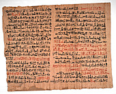 Edwin Smith Papyrus,Egyptian medicine