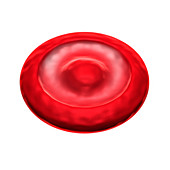 Target cell,illustration