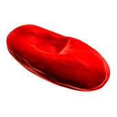 Abnormal red blood cell,illustration