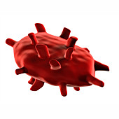 Abnormal red blood cell,illustration