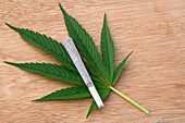 Cannabis cigarette and leaf
