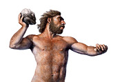 Neanderthal throwing a rock,illustration