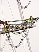 Engineers working on electricity wires