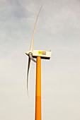 Colourful wind turbines in polders