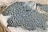 Coastal erosion patterns in rock