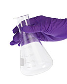 Conical flask in latex-gloved hand