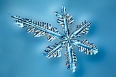 Snowflake crystal,LM