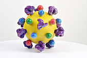 HIV virus particle,3D printed model