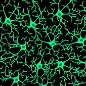 Nerve cells,illustration